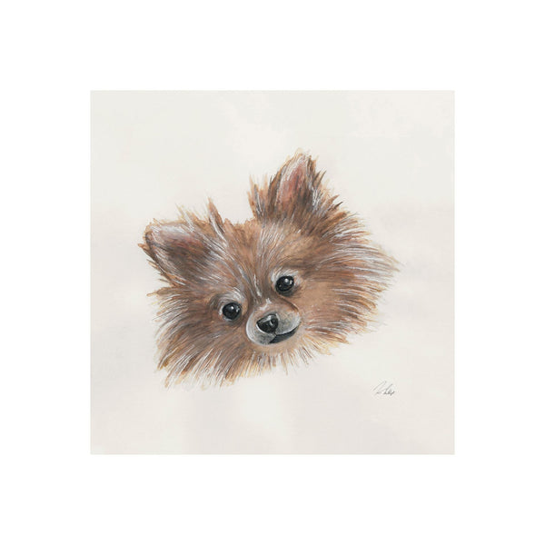 Frankie (Pomeranian 1) by Mercana Studio a Hand Embellished Textured Canvas