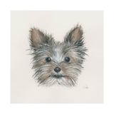 Eddie (Yorkie 1) by Mercana Studio a Hand Embellished Textured Canvas from Mercana - Luna Furniture