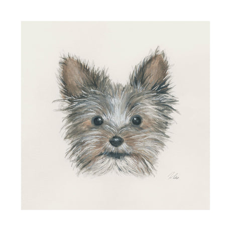 Eddie (Yorkie 1) by Mercana Studio a Hand Embellished Textured Canvas from Mercana - Luna Furniture