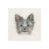 Eddie (Yorkie 1) by Mercana Studio a Hand Embellished Textured Canvas from Mercana - Luna Furniture