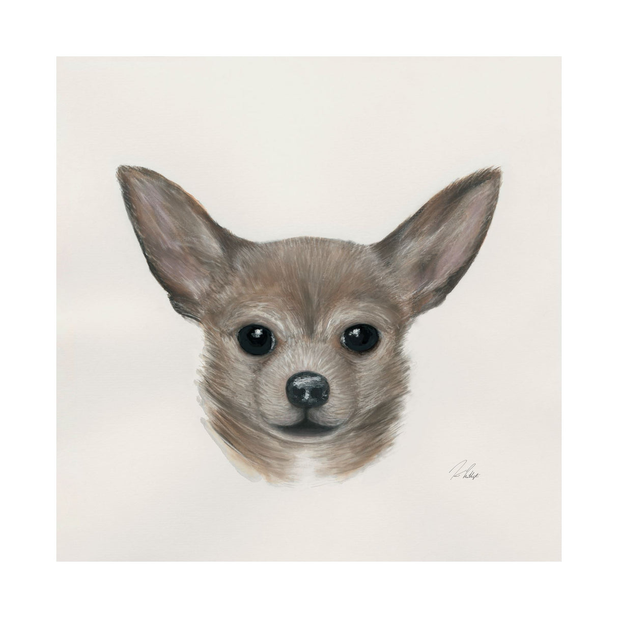 Eddie (Yorkie 1) by Mercana Studio a Hand Embellished Textured Canvas from Mercana - Luna Furniture