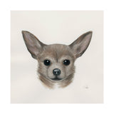 Eddie (Yorkie 1) by Mercana Studio a Hand Embellished Textured Canvas from Mercana - Luna Furniture