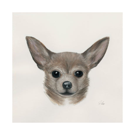 Eddie (Yorkie 1) by Mercana Studio a Hand Embellished Textured Canvas from Mercana - Luna Furniture