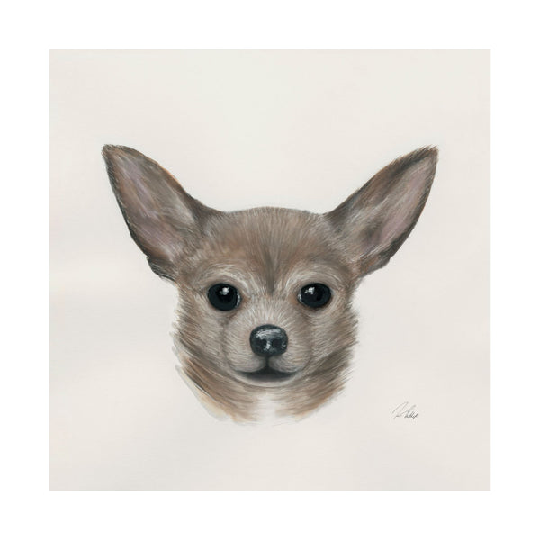 Eddie (Yorkie 1) by Mercana Studio a Hand Embellished Textured Canvas