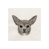 Charlote (Chihuahua) by Mercana Studio a Hand Embellished Textured Canvas from Mercana - Luna Furniture