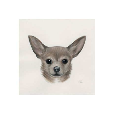 Charlote (Chihuahua) by Mercana Studio a Hand Embellished Textured Canvas from Mercana - Luna Furniture