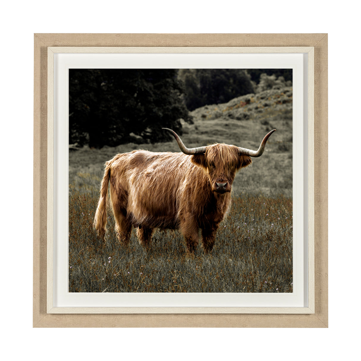 Humphry by Assaf Frank a Framed Photo Art Print Matted under Glass from Mercana - Luna Furniture