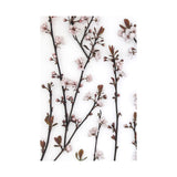 Budding Blossom by Frank Assaf a Hand Embellished Textured Canvas from Mercana - Luna Furniture