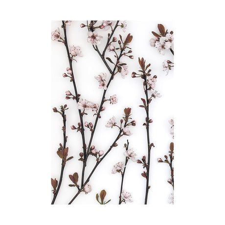 Budding Blossom by Frank Assaf a Hand Embellished Textured Canvas from Mercana - Luna Furniture