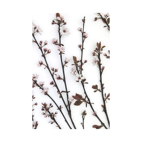 Budding Blossom by Frank Assaf a Hand Embellished Textured Canvas from Mercana - Luna Furniture
