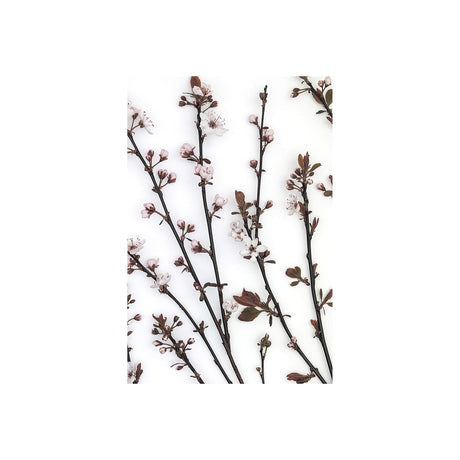 Budding Blossom by Frank Assaf a Hand Embellished Textured Canvas from Mercana - Luna Furniture