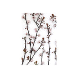 Budding Blossom by Frank Assaf a Hand Embellished Textured Canvas from Mercana - Luna Furniture