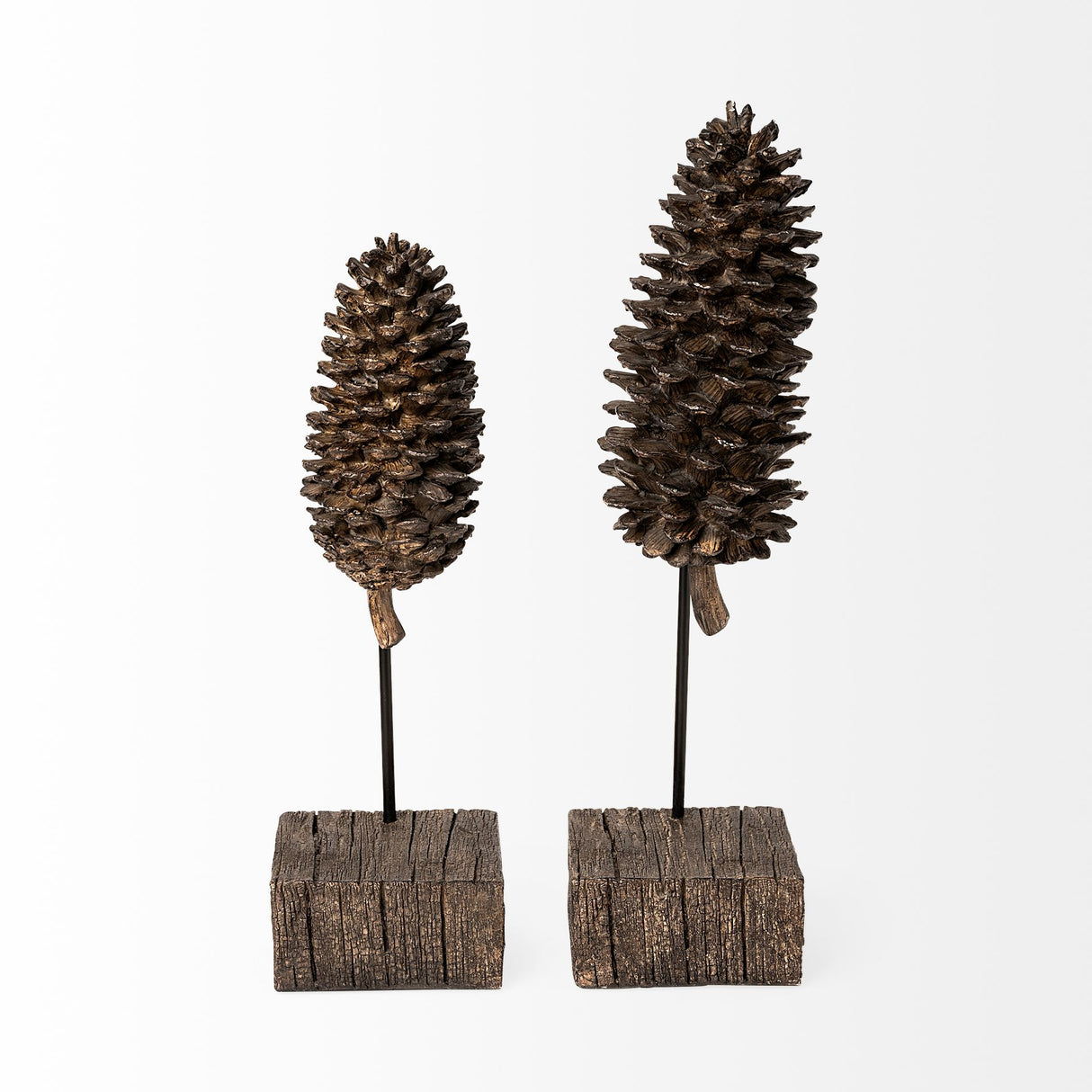 Pinterra (Small) 4L x 4W Brown Resin Pinecone Replica from Mercana - Luna Furniture