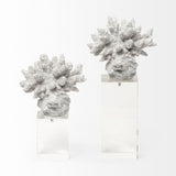 Isla (Large) 5L x 5W White Replica Resin Coral On Clear White Glass from Mercana - Luna Furniture