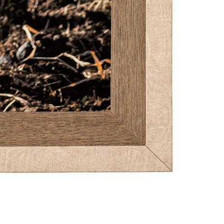Rebel & Tinder by Katelyn Mostert a Framed Photo Art Print Matted under Glass from Mercana - Luna Furniture