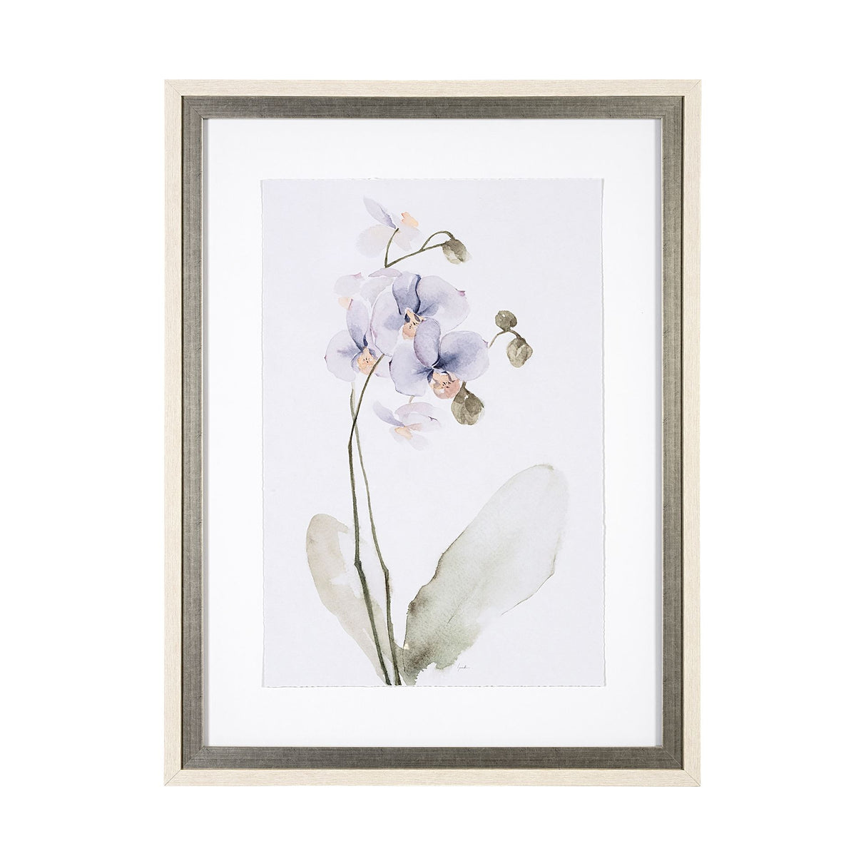 Orchid I by Gabrielle Campbell a Framed Art Print Matted under Glass from Mercana - Luna Furniture