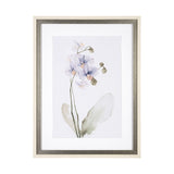 Orchid I by Gabrielle Campbell a Framed Art Print Matted under Glass from Mercana - Luna Furniture