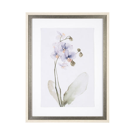 Orchid I by Gabrielle Campbell a Framed Art Print Matted under Glass from Mercana - Luna Furniture