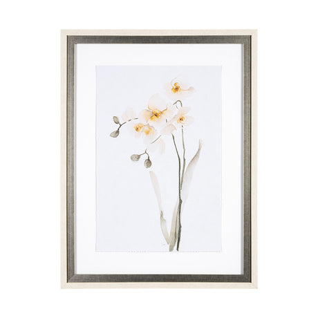 Orchid II by Gabrielle Campbell a Framed Art Print Matted under Glass from Mercana - Luna Furniture