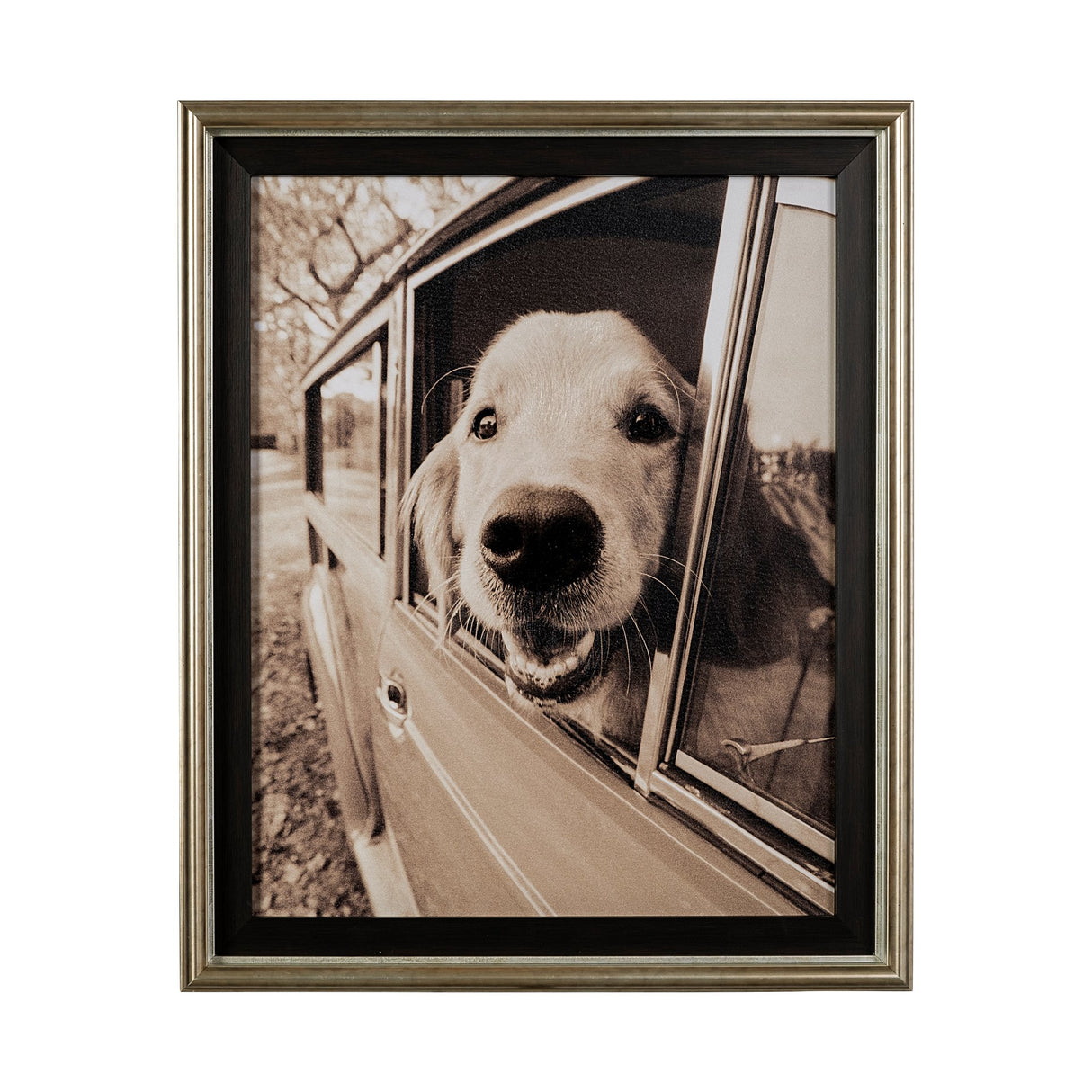 Where you go by Jim Drafield a Hand Embelished Textured Framed Photo Art Print from Mercana - Luna Furniture