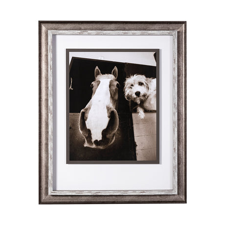 Hanging Out by Jim Drafield a Framed Photo Art Print Matted under Glass from Mercana - Luna Furniture