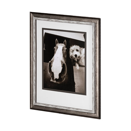 Hanging Out by Jim Drafield a Framed Photo Art Print Matted under Glass from Mercana - Luna Furniture