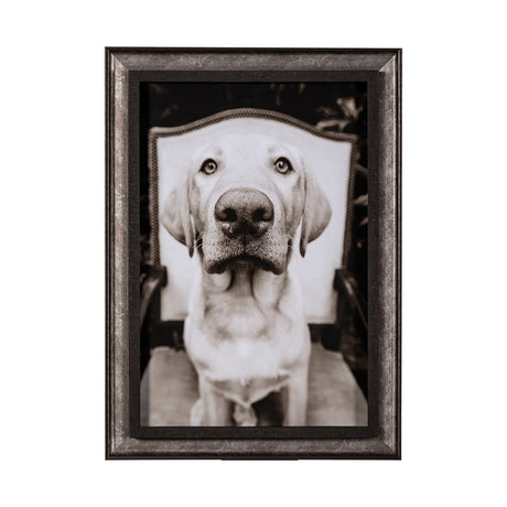 Sitting by Jim Drafield a Hand Embellished Textured Framed Photo Art Print from Mercana - Luna Furniture
