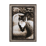 Kitty I by Jim Drafield a Framed Photo Art Print from Mercana - Luna Furniture