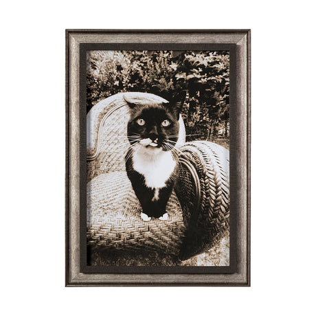 Kitty I by Jim Drafield a Framed Photo Art Print from Mercana - Luna Furniture