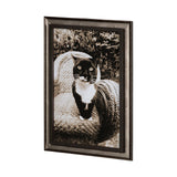 Kitty I by Jim Drafield a Framed Photo Art Print from Mercana - Luna Furniture