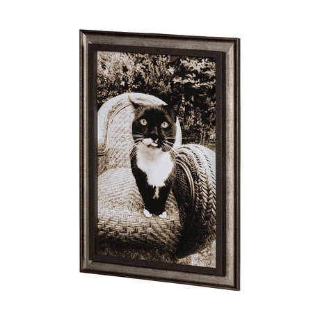 Kitty I by Jim Drafield a Framed Photo Art Print from Mercana - Luna Furniture