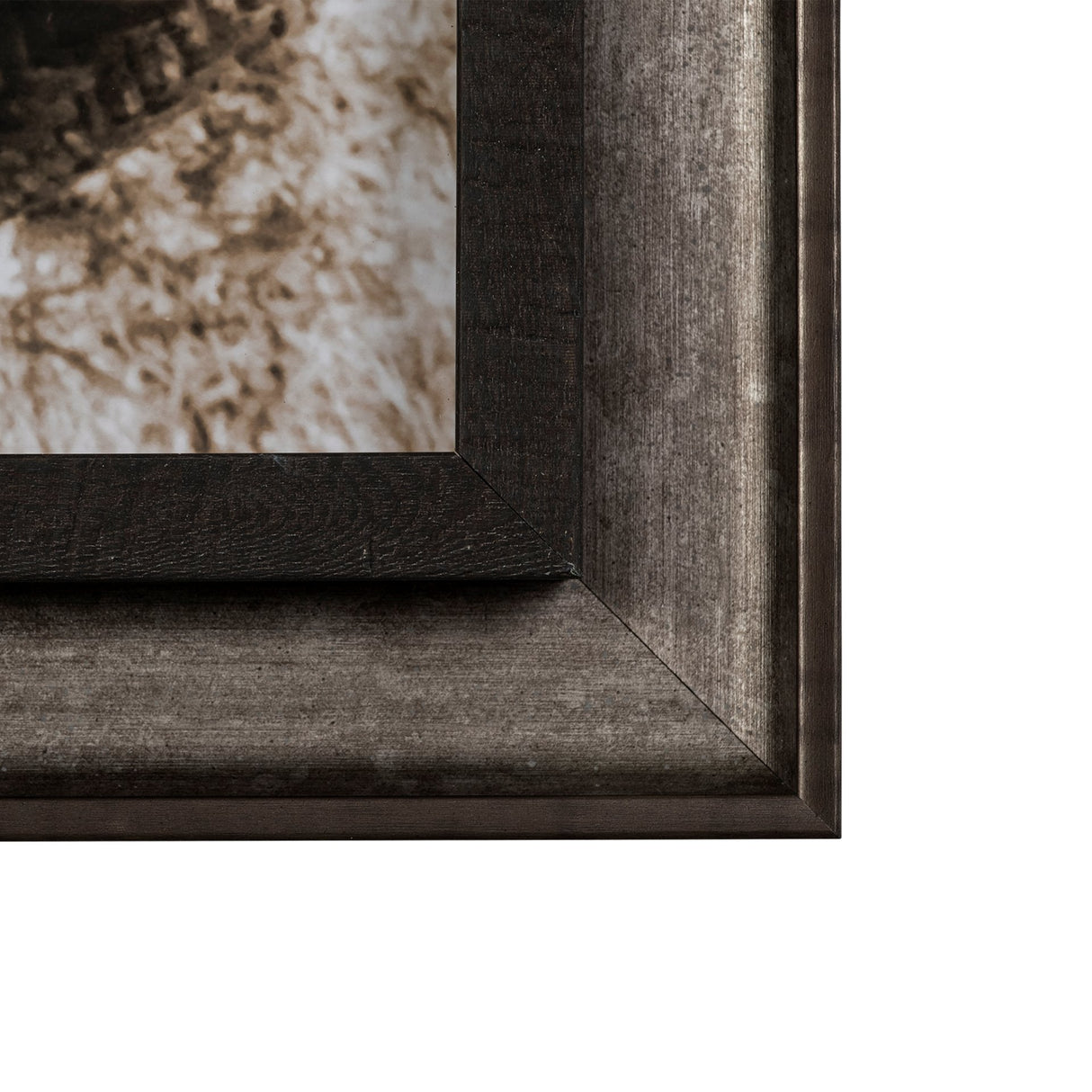 Kitty I by Jim Drafield a Framed Photo Art Print from Mercana - Luna Furniture