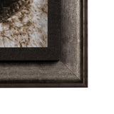 Kitty I by Jim Drafield a Framed Photo Art Print from Mercana - Luna Furniture