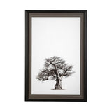 Boabab Tree I by Tiedge a Framed Art Print Matted under Glass from Mercana - Luna Furniture