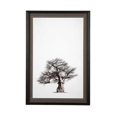 Boabab Tree I by Tiedge a Framed Art Print Matted under Glass from Mercana - Luna Furniture
