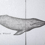 Narwhal by Mercana Studio a Hand Embellished Textured Framed Art Print from Mercana - Luna Furniture