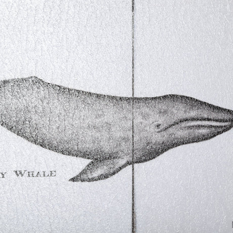 Narwhal by Mercana Studio a Hand Embellished Textured Framed Art Print from Mercana - Luna Furniture