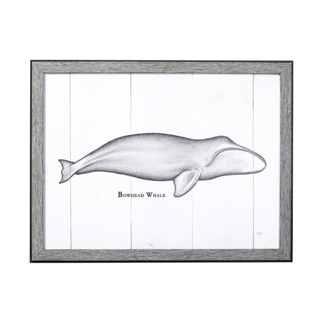 Bowhead Whale by Mercana Studio a Hand Embellished Textured Framed Art Print from Mercana - Luna Furniture