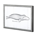 Bowhead Whale by Mercana Studio a Hand Embellished Textured Framed Art Print from Mercana - Luna Furniture