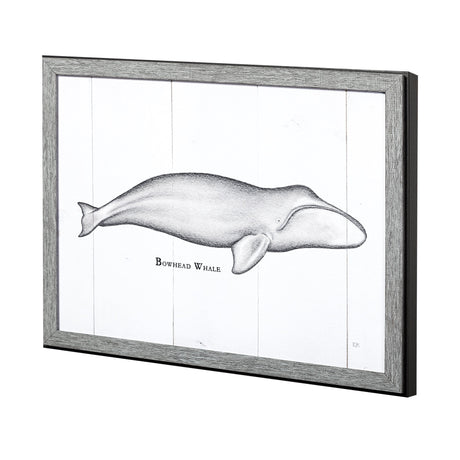 Bowhead Whale by Mercana Studio a Hand Embellished Textured Framed Art Print from Mercana - Luna Furniture