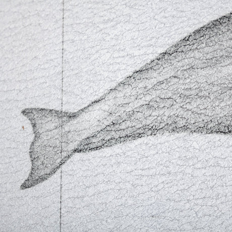 Bowhead Whale by Mercana Studio a Hand Embellished Textured Framed Art Print from Mercana - Luna Furniture