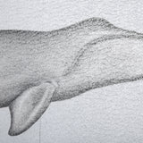 Bowhead Whale by Mercana Studio a Hand Embellished Textured Framed Art Print from Mercana - Luna Furniture