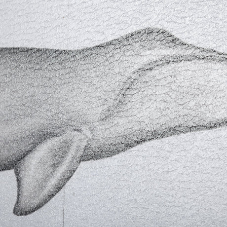 Bowhead Whale by Mercana Studio a Hand Embellished Textured Framed Art Print from Mercana - Luna Furniture