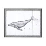 Humpback Whale by Mercana Studio a Hand Embellished Textured Framed Art Print from Mercana - Luna Furniture