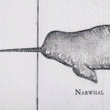 Narwhal by Mercana Studio a Hand Embellished Textured Canvas from Mercana - Luna Furniture