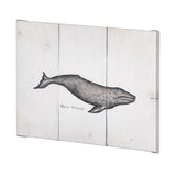 Gray Whale by Mercana Studio a Hand Embellished Textured Canvas from Mercana - Luna Furniture