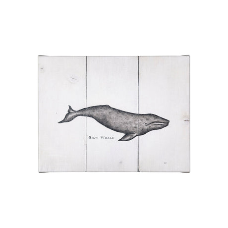 Gray Whale by Mercana Studio a Hand Embellished Textured Canvas from Mercana - Luna Furniture