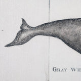 Gray Whale by Mercana Studio a Hand Embellished Textured Canvas from Mercana - Luna Furniture