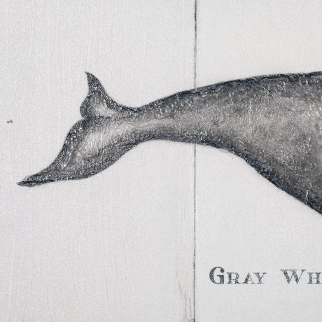 Gray Whale by Mercana Studio a Hand Embellished Textured Canvas from Mercana - Luna Furniture