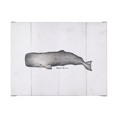 Sperm Whale by Mercana Studio a Hand Embellished Textured Canvas from Mercana - Luna Furniture